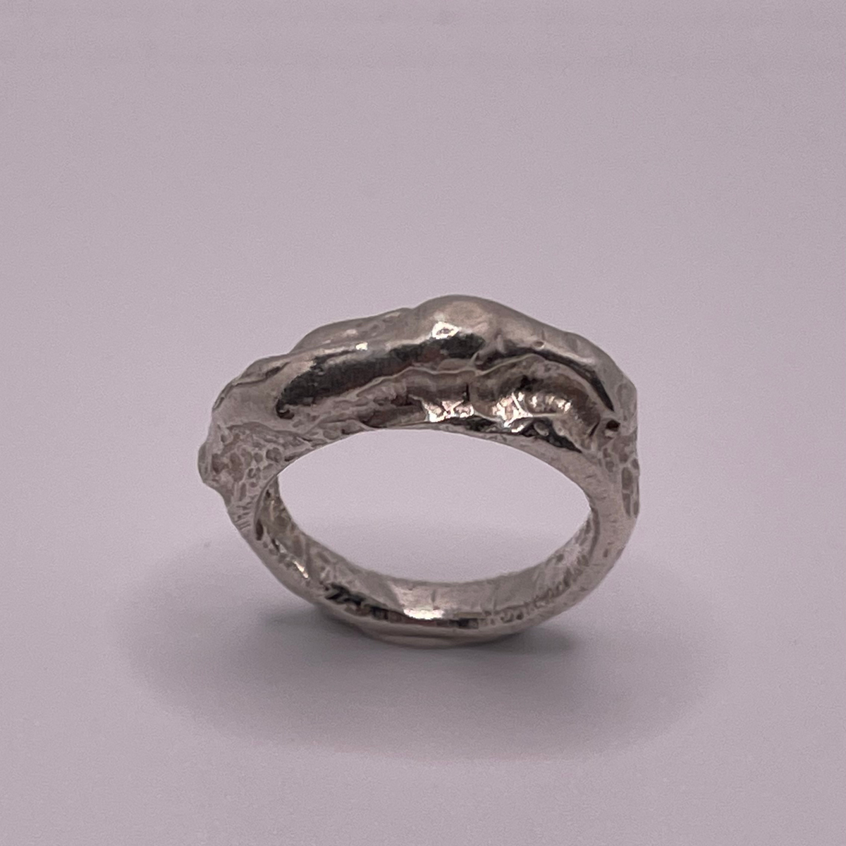 The Crater | RENNE_03